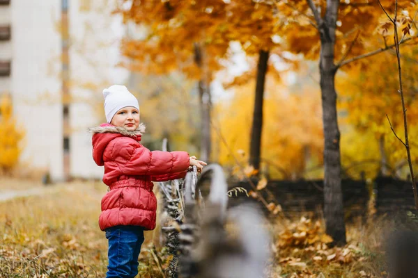 güzel kız pembe ceket çitin duruyor ve kameraya benziyor