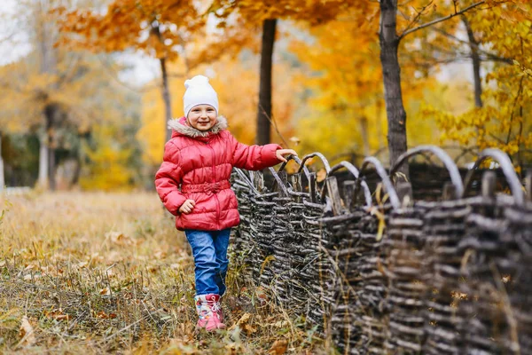 güzel kız pembe ceket çitin duruyor ve kameraya benziyor