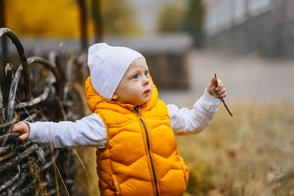 Маленькая Малышка Желтом Жилете Осенью Открытом Воздухе — стоковое фото