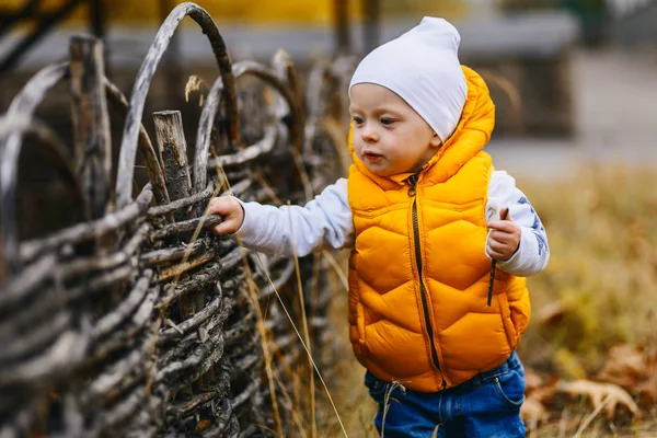Маленький Мальчик Желтом Жилете Осенью Открытом Воздухе — стоковое фото