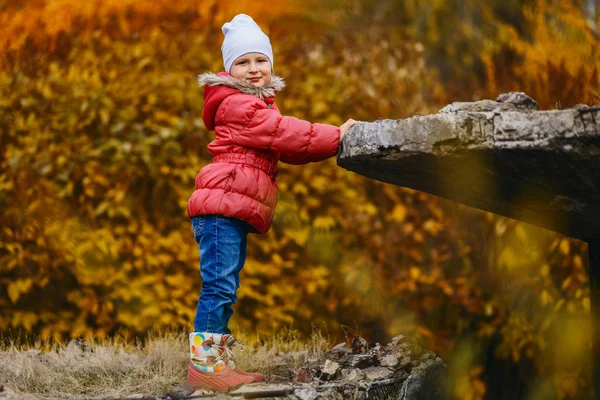 Five Year Old Girl Uśmiechający Się Stoi Jesieni Park Złota — Zdjęcie stockowe