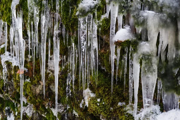 Long Icicles Hang Rocks Autumn — Stock Photo, Image