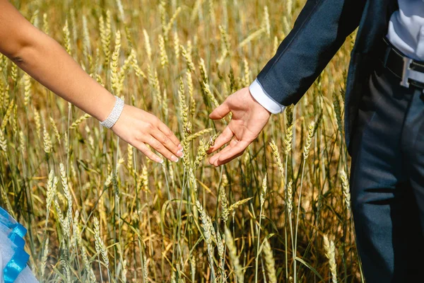 Руки Молодоженов Пшеничном Поле Осенью — стоковое фото