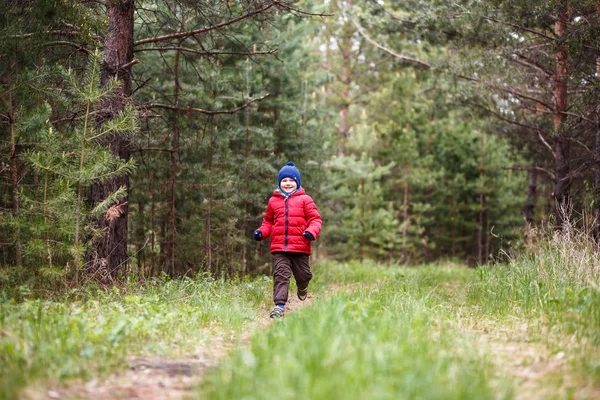 Симпатичный Счастливый Мальчик Красной Шляпе Теплых Штанах Бегает Лесу Осенью — стоковое фото