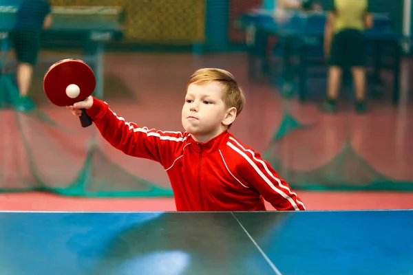 Bebek yarasalar kapalı tenis top, ping pong