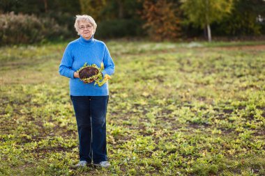 Ayçiçeği tam büyüme açık havada el ile pozitif kadın emekli
