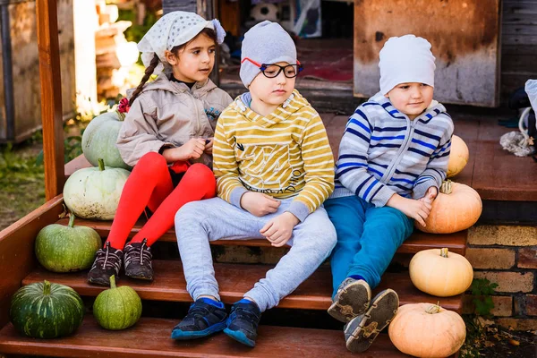 two boys and a girl sitting on the porch next to pumpkins on Halloween
