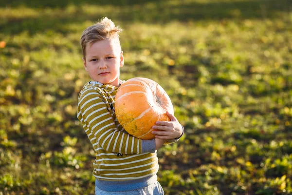 Dítě Drží Velká Oranžová Dýně Venku — Stock fotografie