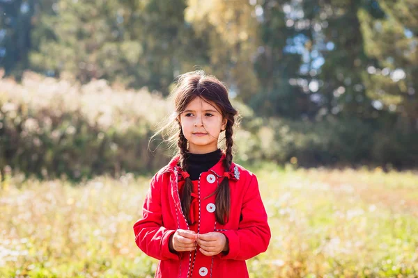 little cute girl of five years in a red cloak and pigtails outdoors,backlight