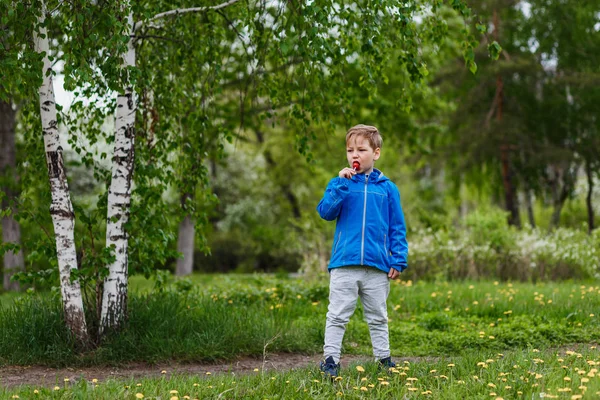 Русский Шестилетний Мальчик Березовом Лесу Полном Расцвете Весной Ребенок Любит — стоковое фото