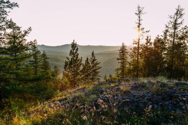 Orman dağlarda yaz aylarında güneşin