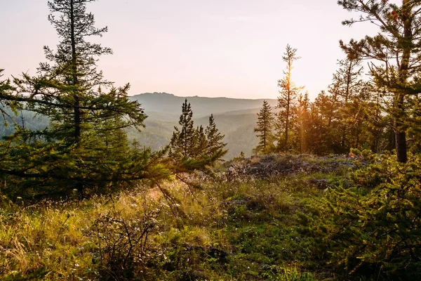 Ural Landskap Äng Toppen Berget Sommar — Stockfoto