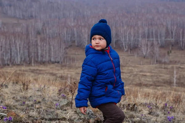 Enfant Cinq Ans Veste Cap Milieu Des Bois Nus Printemps — Photo