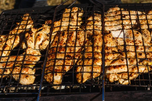 Pedaços Grelhados Carne Frango Livre Kebab Frango — Fotografia de Stock