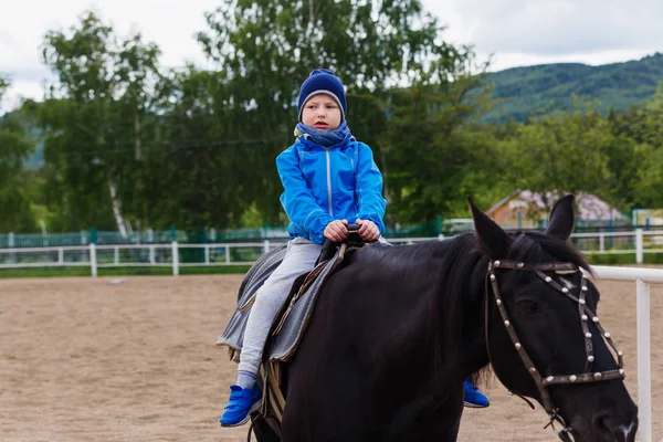 6 歳の少年は黒い馬に座ってください。 — ストック写真