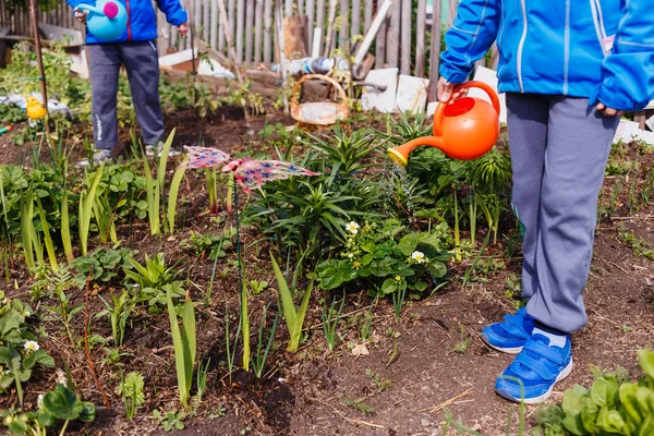 Дети поливали сад — стоковое фото