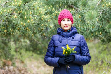 bir kadın çiçek Primroses tutar