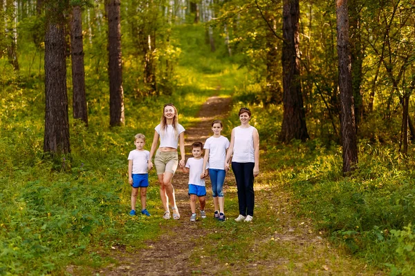 Dos mujeres y tres niños caminan por el bosque tomados de la mano. en pleno crecimiento verano — Foto de Stock