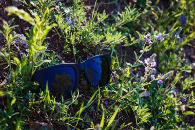 yeşil çimenlerin üzerinde duran gözlükler