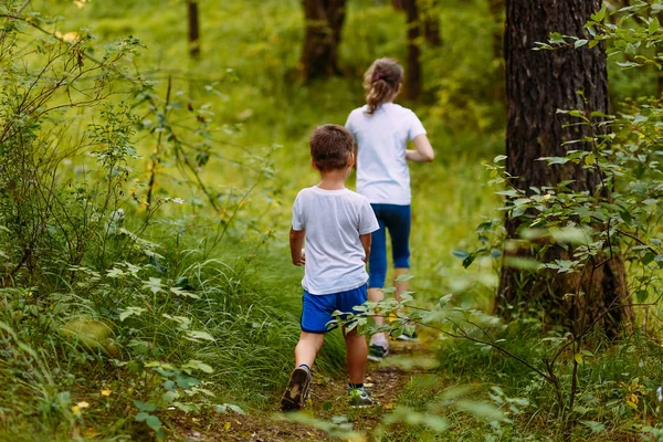 Брат и сестра в белых футболках идут в лес на тропу летом — стоковое фото