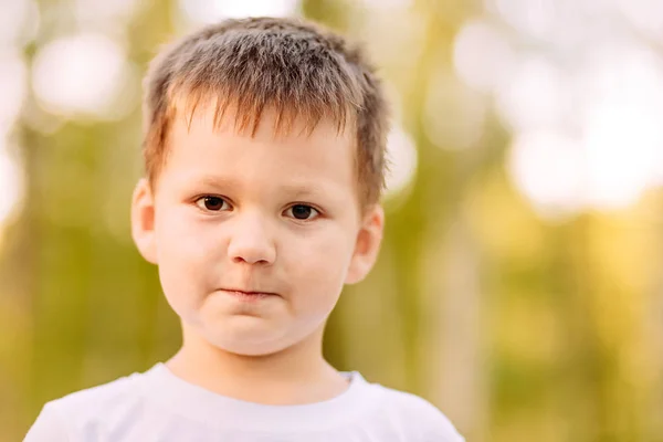 La cara de un lindo niño de cinco años sobre un fondo natural borroso —  Fotos de Stock