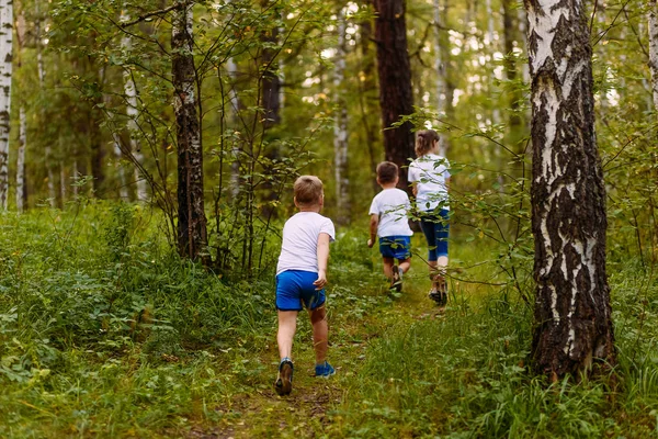 çocuklar ormanda yürüyüş gitmek