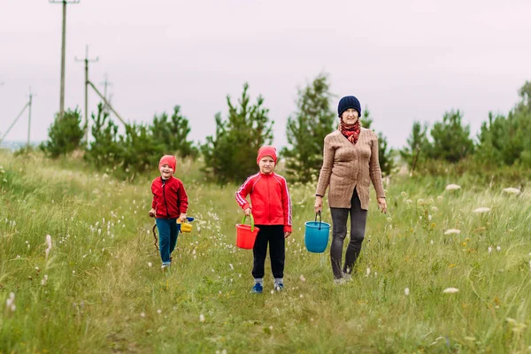 cheerful happy fifty-year-old grandmother and two grandchildren go to the forest for mushrooms