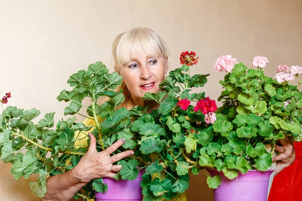 Усміхнена п'ятдесятирічна жінка і квітучий геран вдома. жінка-флорист . — стокове фото