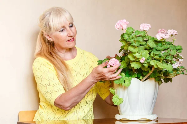 fifty-year-old beautiful Caucasian woman admires blooming pink pelargonium in pots
