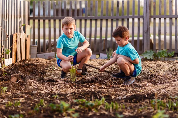 Дети играют с землей в саду — стоковое фото