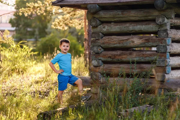 5-летний мальчик в противозакатном свете летом — стоковое фото