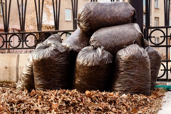pile of black plastic garbage bags outdoors
