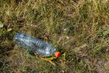 ormanda çim üzerinde yatan boş plastik şişe.