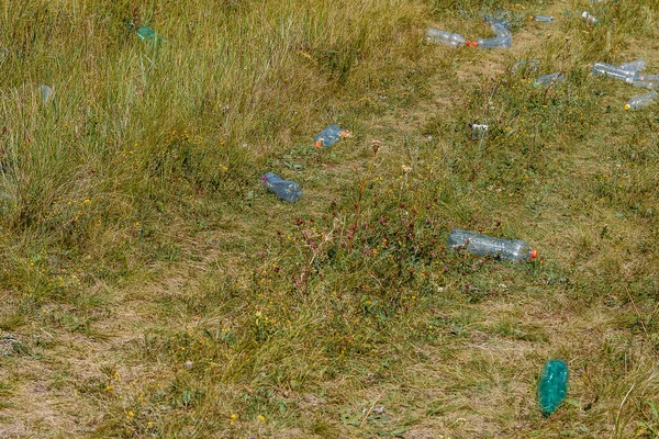 Plastic flessen zijn verspreid in het bos. het probleem van kunststofafval — Stockfoto