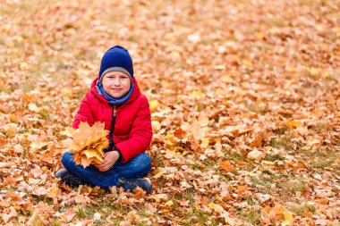 Kırmızı ceketli bebek sarı akçaağaç yaprakları üzerinde oturur