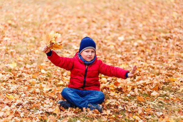 Шестилетний улыбающийся мальчик сидит на желтых осенних листьях — стоковое фото