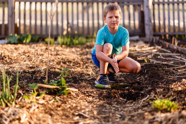 Хлопчик працює влітку в саду — стокове фото