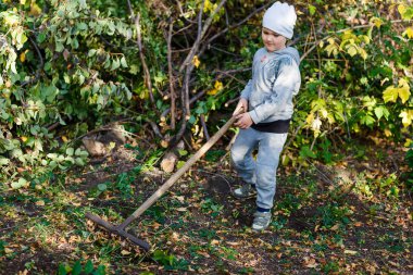 6 yaşında bir çocuk bahçede tırmıkla çalışıyor.