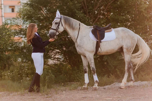 夏のサンセットライトで背の高い鞍と少女のライダーを持つ美しい白い馬 — ストック写真