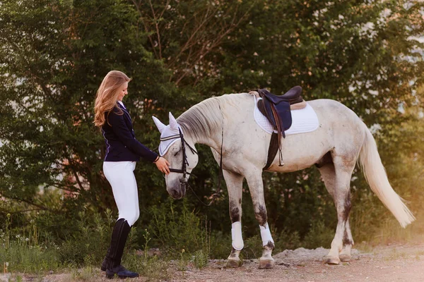 15歳の女の子のライダーは 屋外で夏に美しい白い馬をストローク — ストック写真
