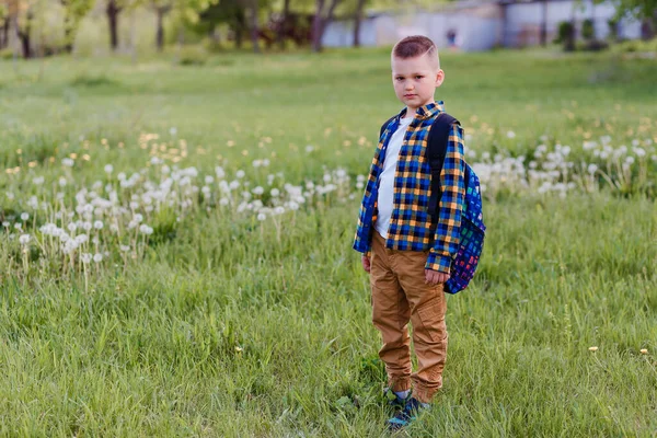 Egy Elsőéves Fiú Teljes Magasságban Hátizsákkal Háta Mögött Áll Zöld — Stock Fotó