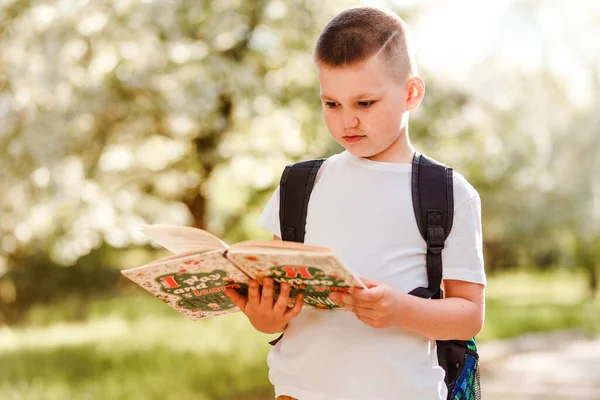 Ragazzo Una Shirt Bianca Con Libro Tra Mani Estate All — Foto Stock