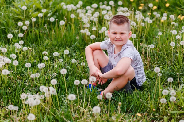 Niño Siete Años Sienta Campo Dientes León Blancos Maduros —  Fotos de Stock