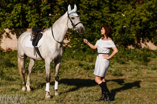 Женщина Белом Платье Красивая Летняя Белая Лошадь Открытом Воздухе — стоковое фото