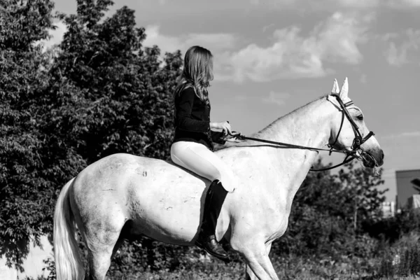 Uma Adolescente Sentada Sela Belo Cavalo Branco Foto Branca Preta — Fotografia de Stock