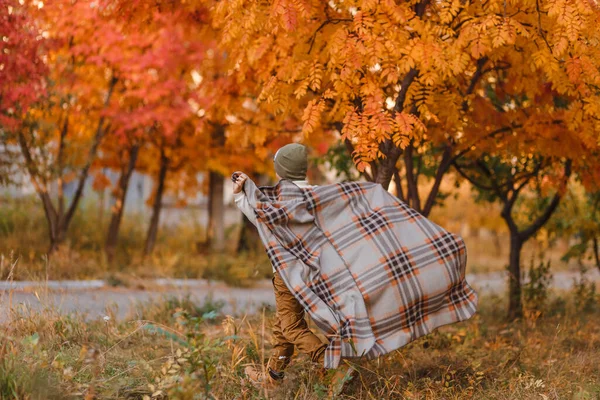 가을에는 아름다운 나무들이 배경에서 만년필로 달리고 — 스톡 사진