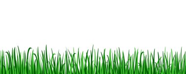 Ön plan doğa illüstrasyon izole bitki kaynaklanıyor. 