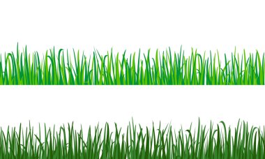 Yeşil çim vektör desen.