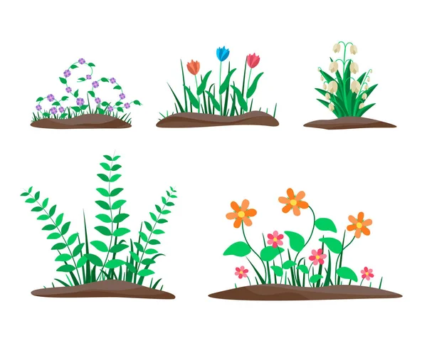 Ensemble de bordures de fleurs — Image vectorielle
