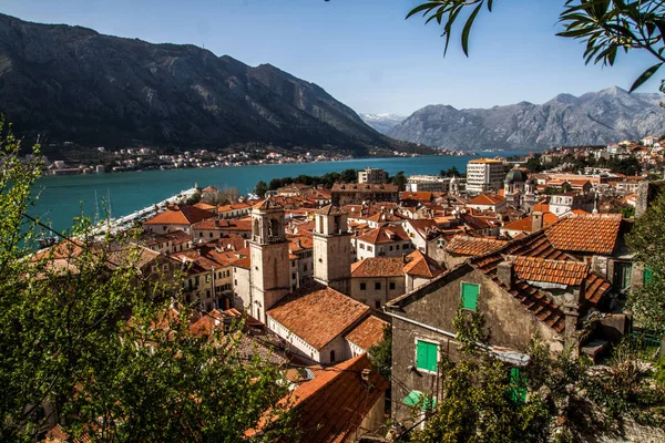 Kotor Pobřežní Město Černé Hoře Nachází Odlehlé Části Zálivu Kotor — Stock fotografie